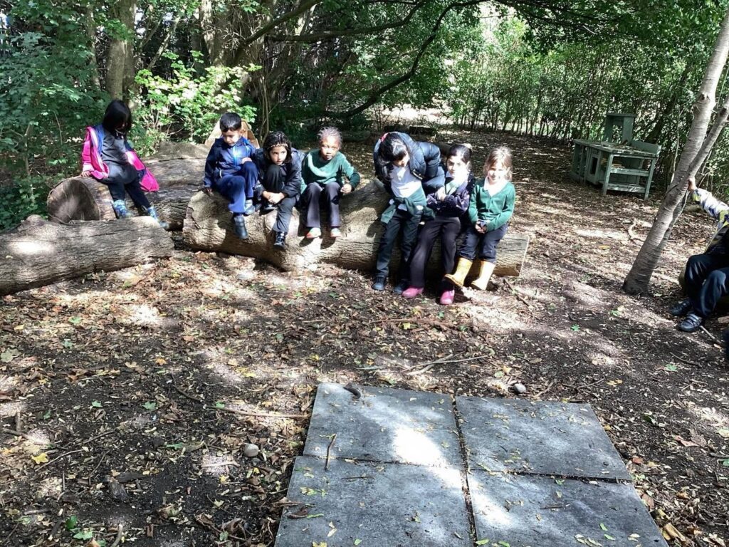 Evergreen pupils enjoy forest school adventures