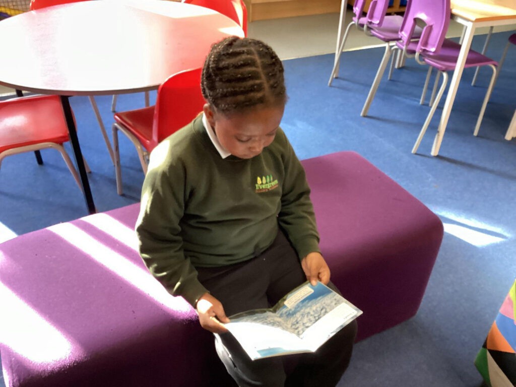 Pupils develop a love of reading