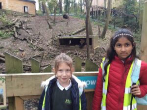 News roundup including pupils see a real life Bear!