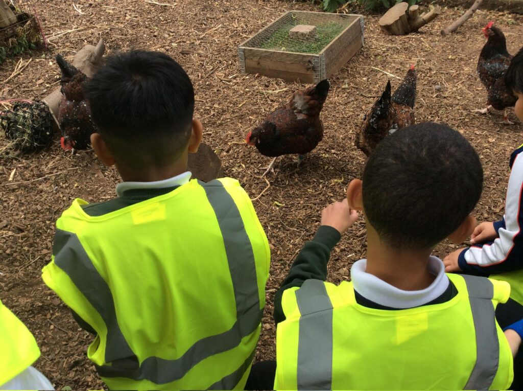 Pupils visit St Werburghs City Farm